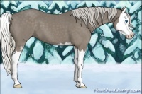 Horse Color:Silver Smoky Black Sabino Splash 