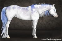 Horse Color:Watercolor White Spotted Buckskin Onyx Splash Rabicano 