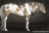 Horse Color:White Spotted Chocolate Palomino 
