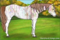 Horse Color:White Spotted Chestnut Ice 