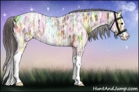 Horse Color:Bay Ice Splash Appaloosa 