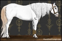 Horse Color:Buckskin Near Fewspot 
