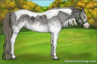 Horse Color:White Spotted Liver Chestnut Tobiano 