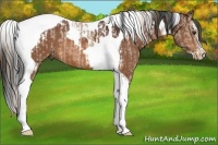 Horse Color:Chestnut Tobiano Varnish  and Bay Splash Tobiano 