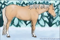 Horse Color:White Spotted Silver Bay Pearl Rabicano 