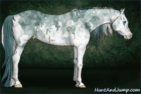 Horse Color:Watercolor Buckskin Ice Splash  and Watercolor White Spotted Silver Blue Ice Roan Splash Rabicano 