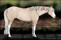 Horse Color:Palomino Pearl Splash 