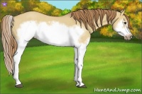 Horse Color:Red Dun Roan Splash Frame Rabicano