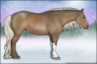 Horse Color:Liver Chestnut 