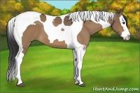 Horse Color:Bay Dun Splash Tobiano