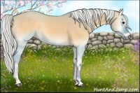Horse Color:Watercolor Silver Smoky Grullo Onyx 