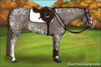 Horse Color:Liver Chestnut Ice 