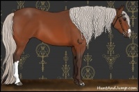 Horse Color:Silver Bay 