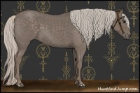 Horse Color:Silver Blue Roan