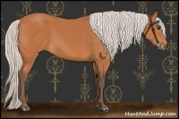 Horse Color:Silver Bay 