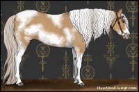 Horse Color:Silver Bay Dun Sabino Tobiano Frame Rabicano 