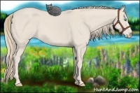 Horse Color:Smoky Creme 