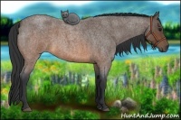 Horse Color:Brown Roan