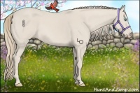 Horse Color:Smoky Creme 