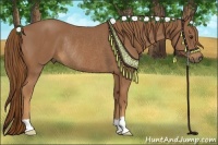 Horse Color:Chestnut Rabicano 