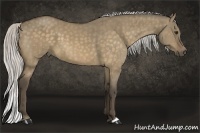 Horse Color:Silver Buckskin Dun Brindle 