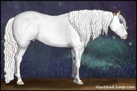 Horse Color:Silver Buckskin Roan Splash Tobiano
