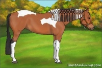 Horse Color:Bay Tobiano