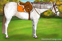 Horse Color:White Spotted Red Dun Roan 