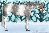 Horse Color:White Spotted Silver Black 