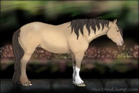 Horse Color:Sable Cream Champagne 