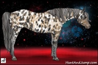 Horse Color:Buckskin Dun and Black Near Leopard