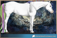 Horse Color:Painted Black Tobiano Appaloosa 