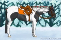 Horse Color:Black Tobiano