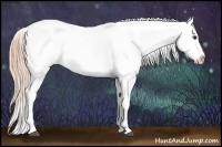 Horse Color:Watercolor Liver Red Dun Appaloosa