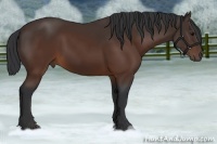 Horse Color:Brown 
