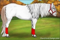 Horse Color:Black Blanket Rabicano 