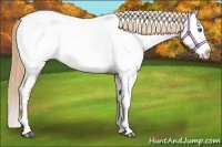 Horse Color:Red Roan Splash Near Fewspot 