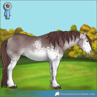 Horse Color:White Spotted Chocolate Buckskin Chinchilla 