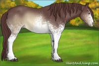 Horse Color:White Spotted Chocolate Buckskin Chinchilla