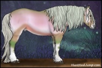 Horse Color:Watercolor Silver Buckskin Onyx