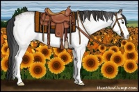 Horse Color:White Spotted Buckskin