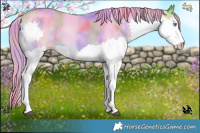 Horse Color:Nacre Watercolor Buckskin Sabino Splash 