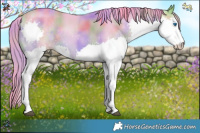 Horse Color:Nacre Watercolor Buckskin Sabino Splash 