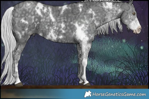 Horse Color:White Spotted Silver Black Chinchilla Ice 