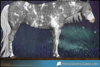 Horse Color:White Spotted Silver Black Chinchilla Ice 