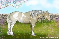 Horse Color:Watercolor White Spotted Silver Bay Sabino 