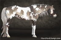 Horse Color:White Spotted Silver Blue Onyx 