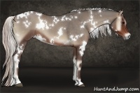 Horse Color:White Spotted Silver Blue Onyx