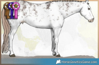 Horse Color:White Spotted Liver Chestnut Sabino