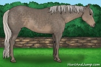 Horse Color:Silver Smoky Black 
